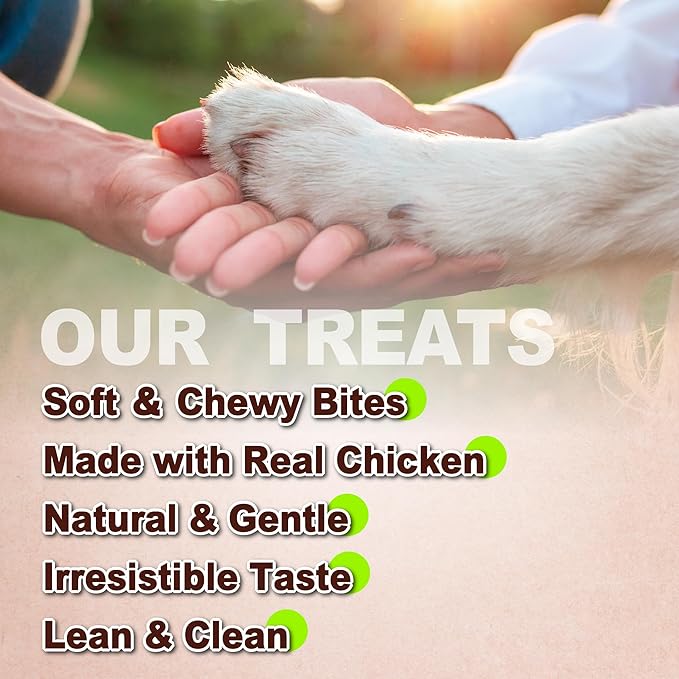 A Freschi srl Soft Chicken Dog Treats, All Natural, High-Protein, Healthy & Easily Digestible, Grain-Free Puppy Chews, Human Grade Training & Rewards Dog Snacks, Chicken Knots, 16 oz Pack