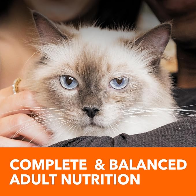 IAMS Proactive Health Dry Cat Food Hairball Care, Adult Cat Food, with Real Chicken and Salmon, 3.5 lb. Bag