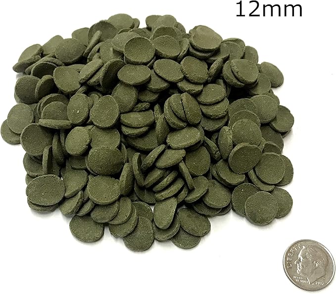 Medium 12mm Algae Wafer - Algae Wafers for Bottom Feeders - The Best Pleco Wafers & Pleco Food Available - Algae Wafers for Snails (10 lb)