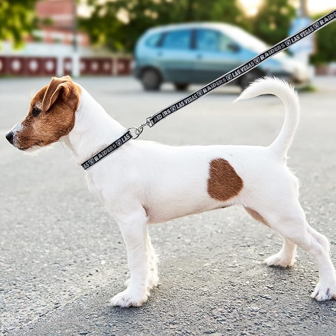NFL PET Las Vegas Raiders Dog Leash, Medium Football Team Leash for Dogs & Cats - Shiny & Colorful, Licensed by The NFL
