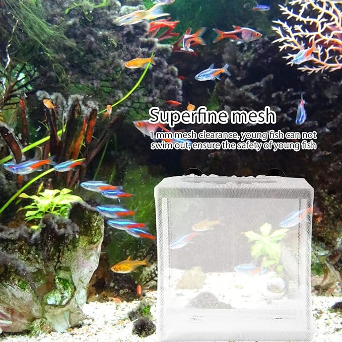 Pssopp Fish Incubator Mesh Box Aquarium Breeding Hatchery Fish Isolation Mesh Young Fish Hatchery Incubator with Isolation Board for Separate Special Fish