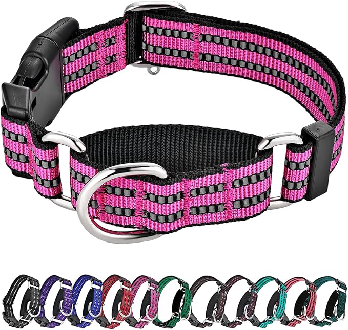 Hikiko Martingale Dog Collars Reflective Nylon Dog Collar with Quick Release Buckle Adjustable Training No Slip Dog Collar (X-Large, Pink)