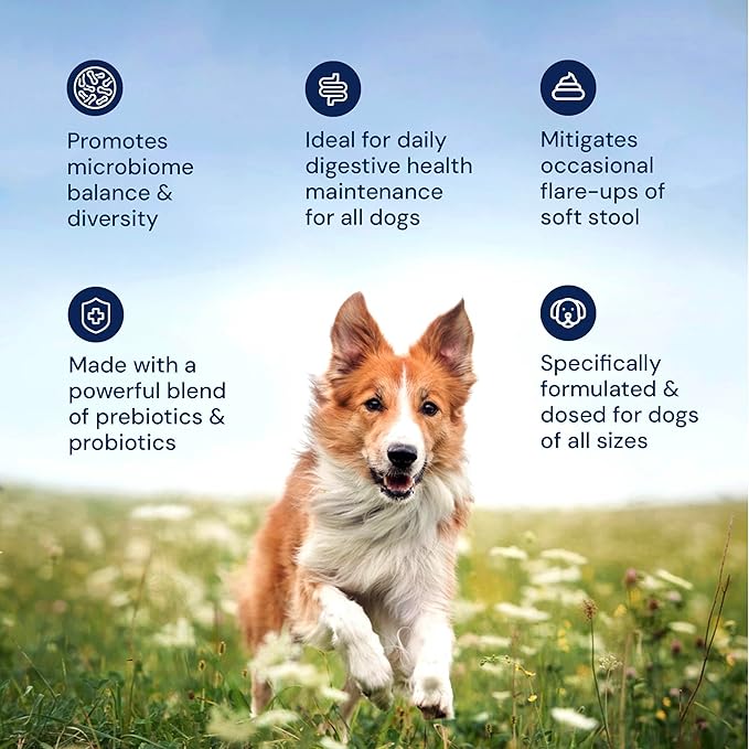 Animal Biome Gut Maintain Probiotics and Prebiotics for Dogs - Reduce Diarrhea Flareups - for Medium Dogs (60 Capsules)