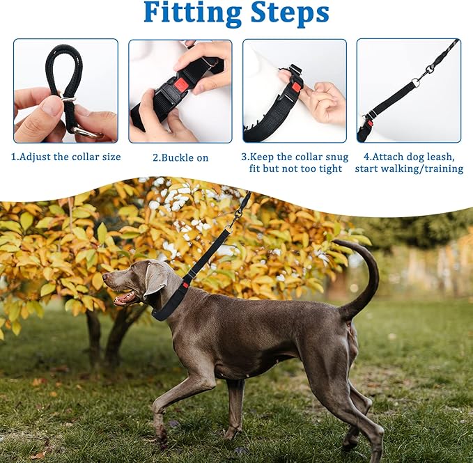 Mayerzon Dog Collar, Patented Martingale No Pull Collar for Small Medium Large Dogs with Buckle for Walking Training, Hidden Design (Black, Small,2.5mm,11.5"-14.5" Neck)