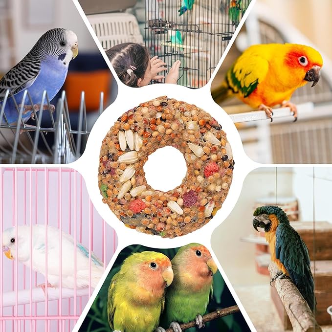 Parakeet Treats - Enrichment Toy, Donut Shaped Grain Teether, Interactive Training Accessory, Foraging Supply | Fun Bird Toys for Lovebirds, Cage Activity, Feeding Entertainment, Daily Play Snack