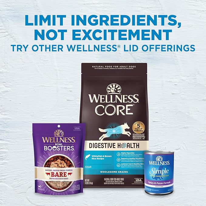 Wellness Simple Limited Ingredient Healthy Weight Adult Dry Dog Food, Grain Free Kibble, Sensitive Stomach, Skin & Coat Support, Natural, Chicken Free, Salmon and Peas Recipe, 24 lb Bag