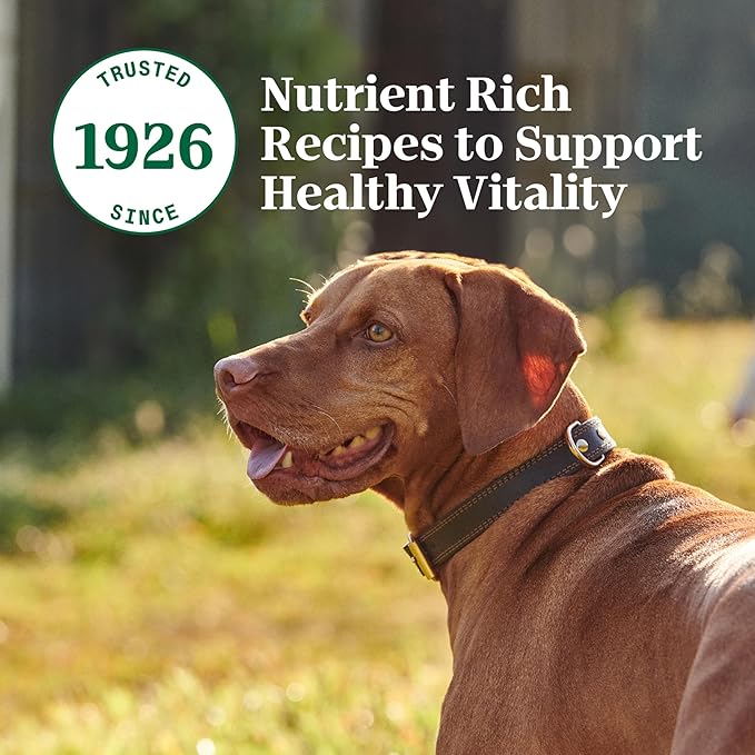 Nutro Adult Wet Dog Food, Natural Grain Free Dog Food Wet Cuts in Tender Chicken, Sweet Potato & Pea Stew Recipe, 3.5 oz. Trays (Pack of 24)