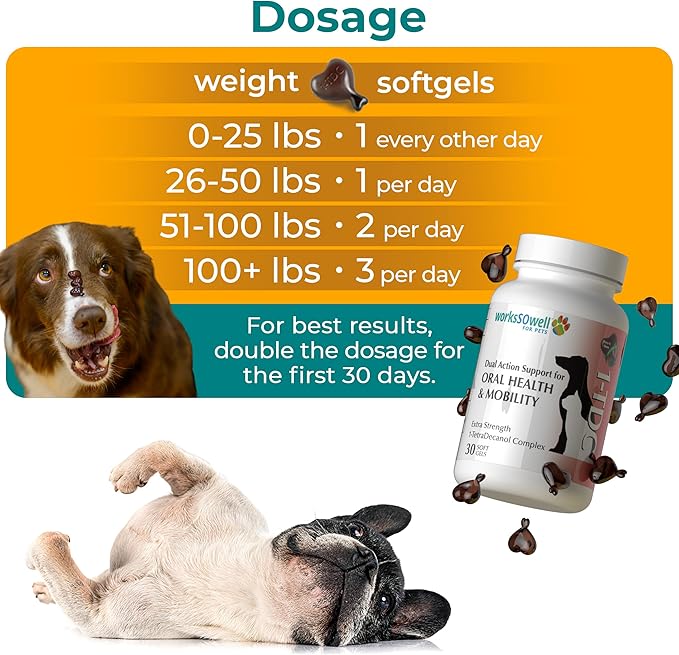 1TDC WorksSoWell Dual Action Hip and Joint Supplement for Dogs & Cats - for Large & Small Breed - Great for Oral Health, Stamina Recovery & Arthritis Pain Relief -30 ct