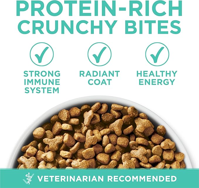 Purina ONE Sensitive Stomach, Sensitive Skin, Natural Dry Cat Food, +Plus Sensitive Skin and Stomach Formula - 7 lb. Bag