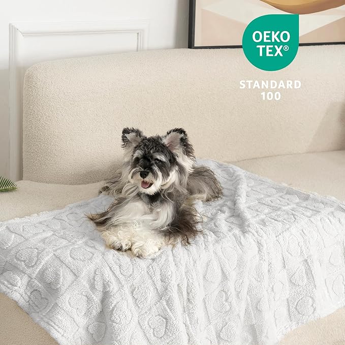 gogobunny Calming Plush Dog Cat Blanket 300GSM Coral Fleece, Ultra-Soft Machine Washable Pet Bedding for Small Medium Dogs Cats Puppies Kittens (Silver, 60x80)