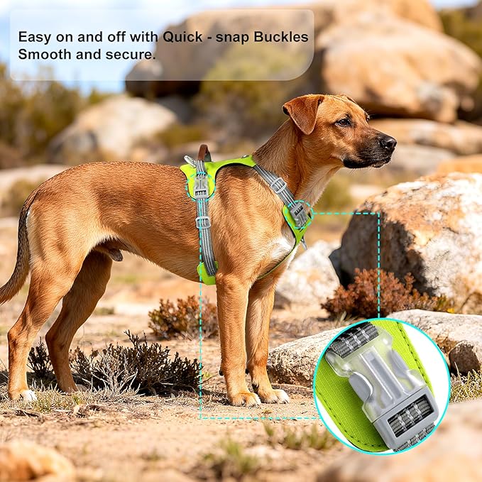 No Pull Dog Harness – Adjustable Reflective Nylon Vest for Small Medium Large Dogs, Escape Proof Training Harness with Leather Control Handle, Lightweight Aluminum Hardware (Green, XL)