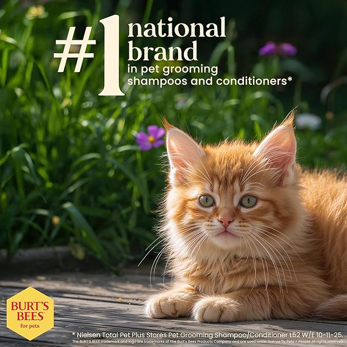 Burt's Bees for Pets Tearless Kitten Shampoo with Buttermilk and Honey, Gentle Cat Shampoo for Itchy Skin and Sensitive Coats, Easy Rinse Low Lather Formula, 99.3% Natural Origin, 10 Fl Oz - 6 Pack