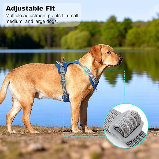 No Pull Dog Harness – Adjustable Reflective Nylon Vest for Small Medium Large Dogs, Escape Proof Training Harness with Leather Control Handle, Lightweight Aluminum Hardware (Royal Blue, M)