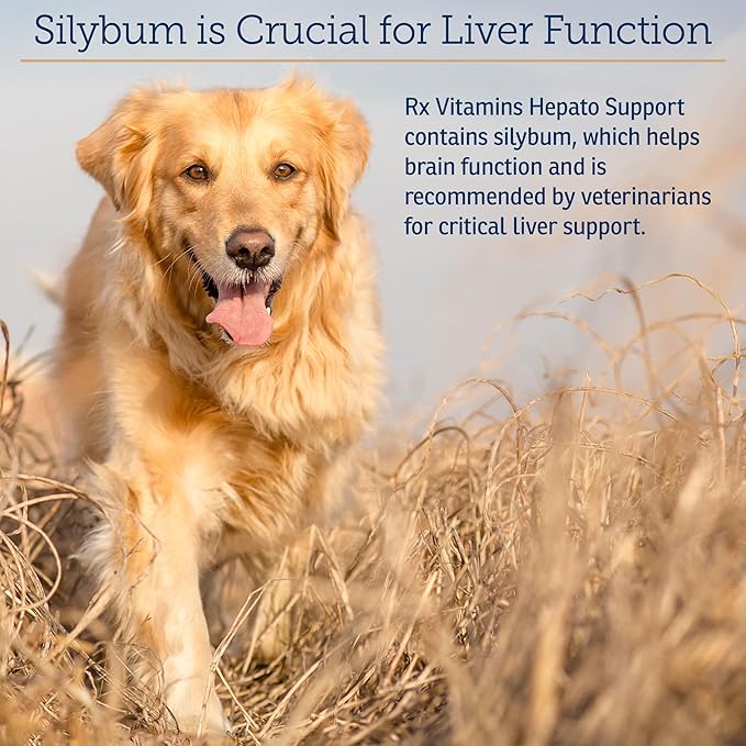 Rx Vitamins Liquid Hepato Support for Dogs & Cats - Liver Support Supplement with Milk Thistle for Dogs (Silymarin & Silybinin) and Vitamin B - Bacon Flavor (4oz)