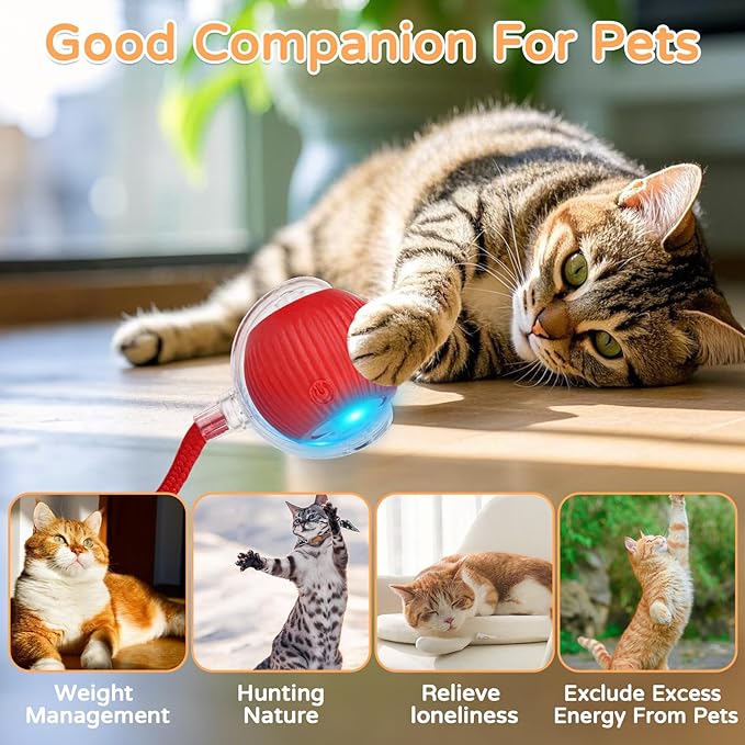 2025 New 2Pack Cat Ball Kitten Toys for Indoor Interactive Kitty Ball Toy Speedy Tail 360° Automatic Rolling(Red Grey)