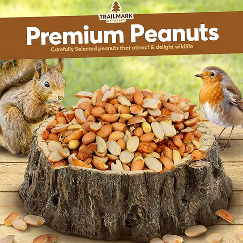 10 LB - Raw Shelled Peanuts For Squirrels, Out of Shell Peanuts For Birds and Wildlife- Squirrel Food, Wild Bird Seed -Grown in The USA
