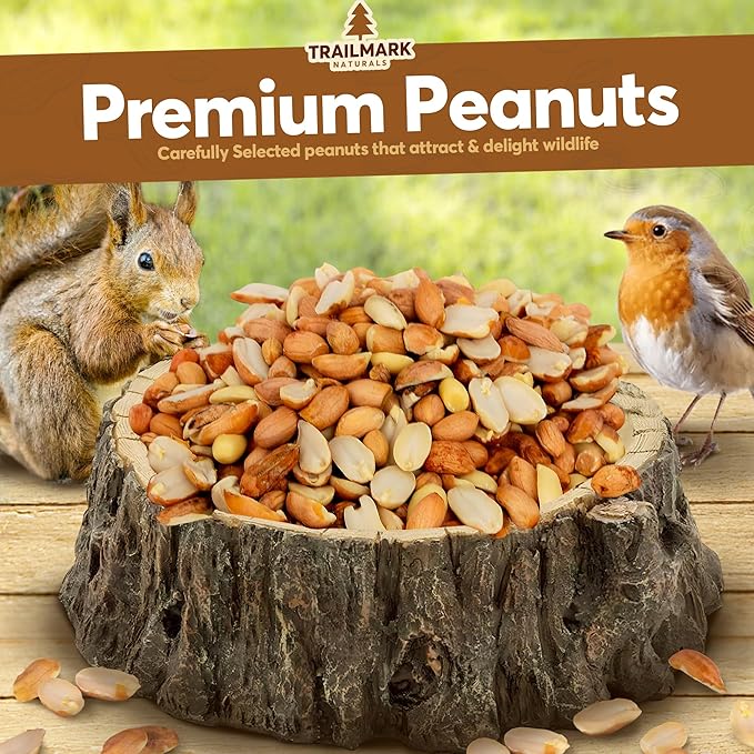 8 LB - Raw Shelled Peanuts For Squirrels, Out of Shell Peanuts For Birds and Wildlife- Squirrel Food, Wild Bird Seed - Grown in The USA