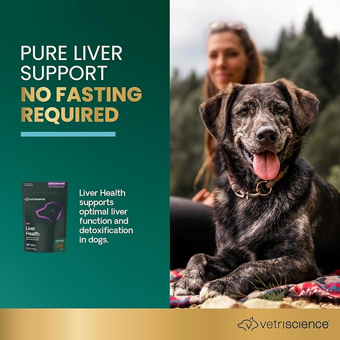 VetriScience Liver Health Chews with Milk Thistle, Vetri Liver Detox Supplement for Dogs, Turmeric and Artichoke Leaf for Liver Support and Detoxification, Chicken, 60 Count