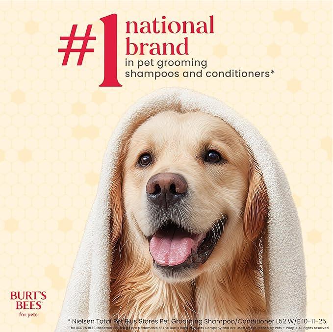 BURT'S BEES FOR PETS Deodorizing Dog Spray with Manuka Honey and Charcoal for Dogs - Naturally Derived Ingredients, Formulated without Artificial Fragrances, Sulfates, Colorants, 10 Fl Oz
