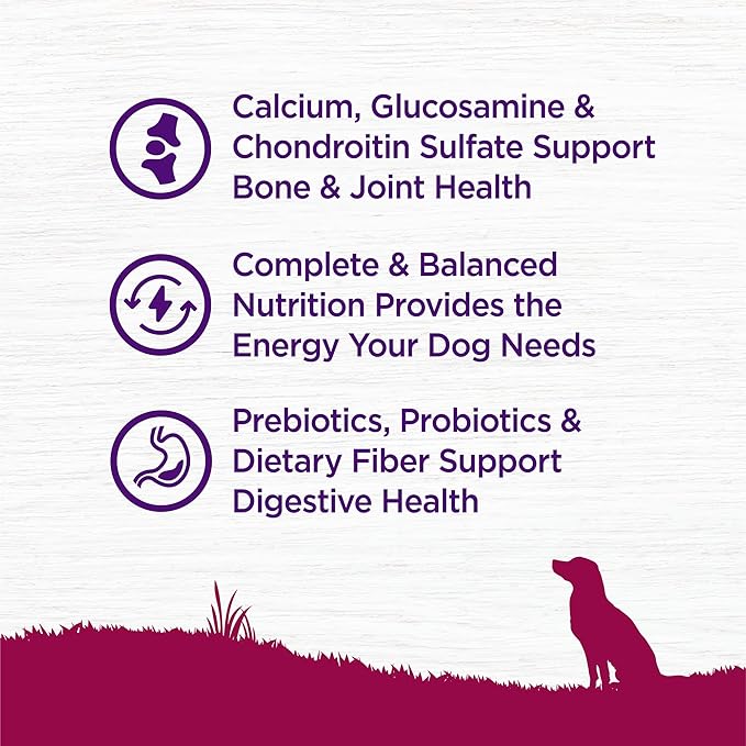 Wellness Complete Health Senior Dry Dog Food, Small Breed, Wholesome Grains, Natural, Age Advantage Turkey & Peas Recipe, (4-Pound Bag)