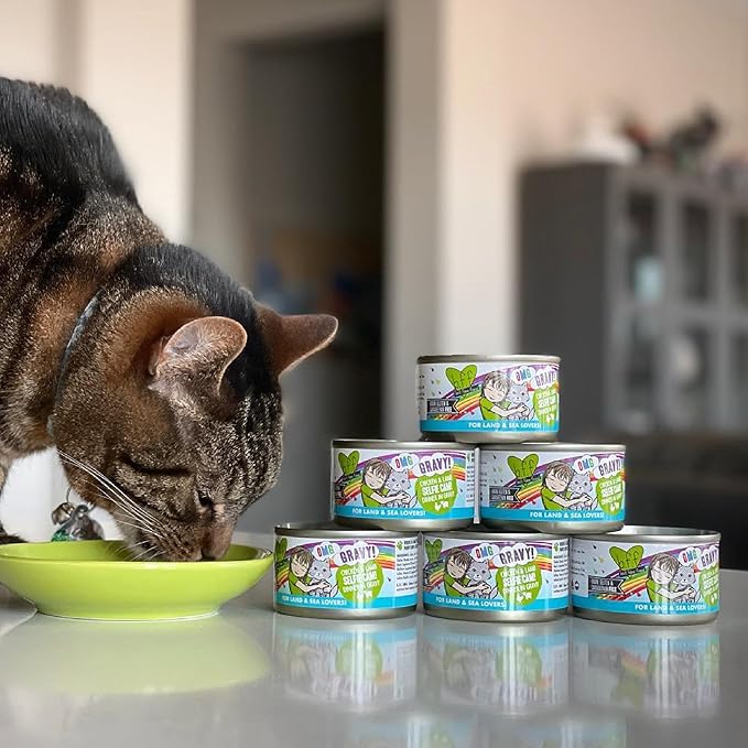 Weruva B.F.F. OMG - Best Feline Friend Oh My Gravy!, Tuna & Lamb Lights Out with Tuna & Lamb, 5.5oz Can (Pack of 8)