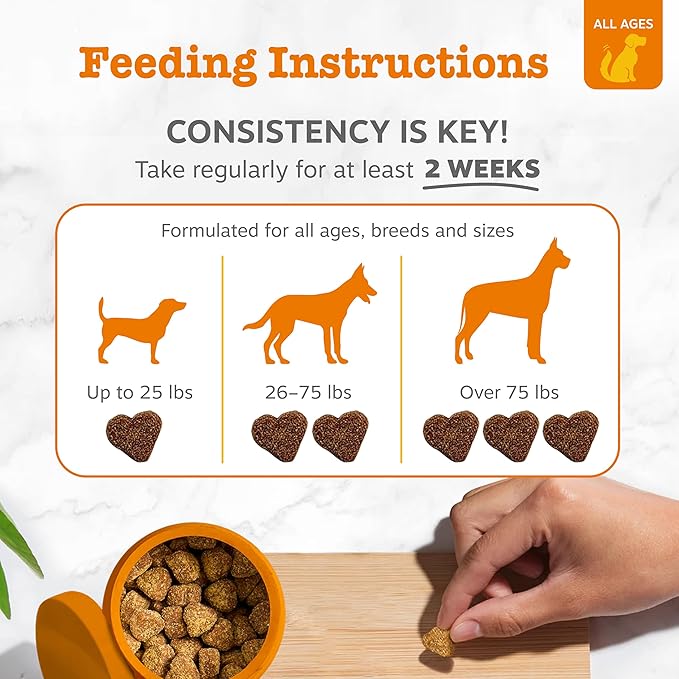 Zesty Paws Hip and Joint for Dogs, Glucosamine for Dogs Hip and Joint Supplement with Chondroitin, MSM, Vitamins C & E - Bacon, 50 Count