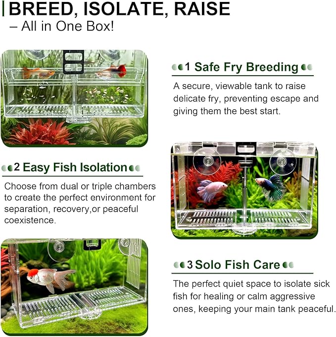 Triple-Chamber Aquarium Fish Breeder & Isolation Box, Transparent Hatching Incubator Tank with Suction Cups & Hook, Nursery for Livebearer Guppy Fry Breeding and Betta Fish, Shrimp Quarantine
