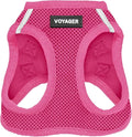 Best Pet Supplies Voyager Step-in Air Harness - All Weather Mesh, Reflective, No Pull Harness for Dogs, Cats - Secure with Hook & Loop Fastener, Buckle, Double D-Rings - Fuchsia, S