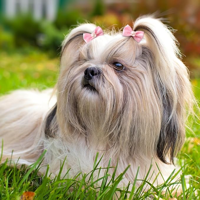 Janinka 40 Pieces Dog Bows Cute Dog Hair Bows for Puppy Hair Bowknot with Rubber Bands Lace Organza Rhinestone Pearls Multicolor Pet Grooming Accessories