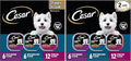 Cesar Filets in Gravy Adult Wet Dog Food Variety Package,Filet Mignon,New York Strip and Prime Rib Flavors,3.5 oz. Easy Peel Trays,Variety Pack,24 Count (Pack of 2)
