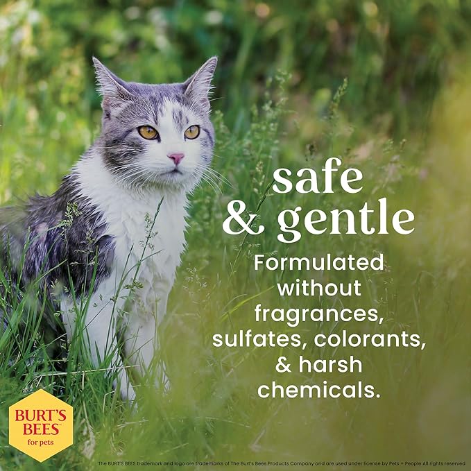 BURT'S BEES FOR PETS Cat Dander Reducing Spray with Colloidal Oat Flour and Honey, Waterless Cat Grooming Spray for Dry Skin and Dandruff Control, Cat Dander Remover for Allergy Support, 10 Fl Oz