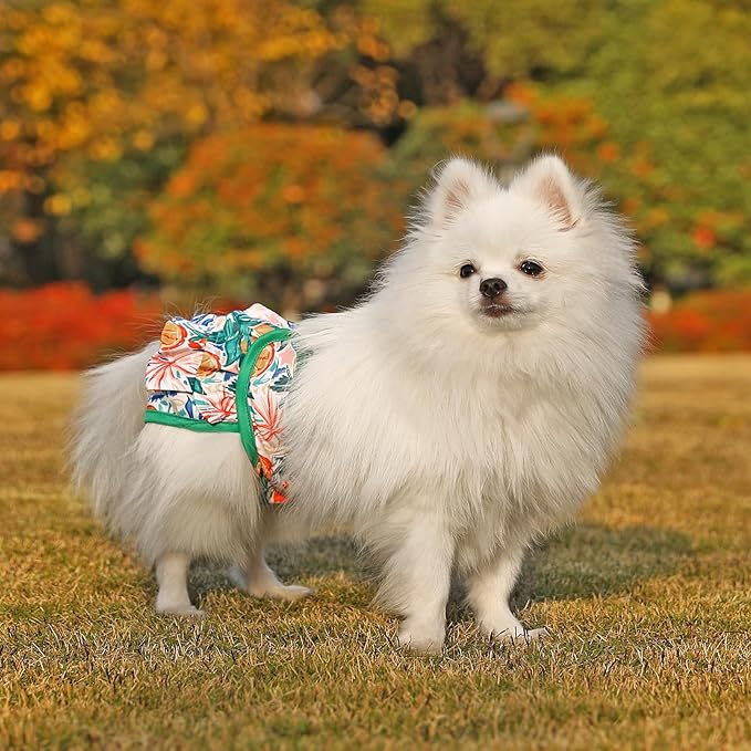 Dog Diapers Female Washable (3 Pack), Reusable Dog Period Diapers Female Doggie Diapers Puppy Diapers Female Dog Diapers for Heat, Incontinence, Excitable Urination,S