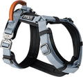 MADE TO ROAM Premium Explorer Harness - Y-Shaped Dog Harness with Adjustable Durable Nylon, Soft Padding, Metal Buckles and Leather Handle for Small, Medium, Large Dogs (Virginia Mountains, Size 7)