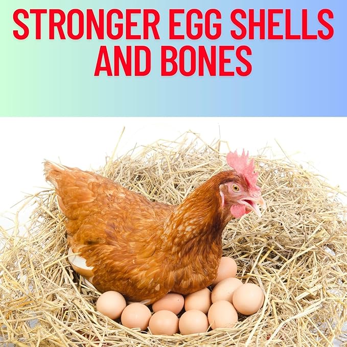 Red & Lime Stones Mix Grit Minerals, High Calcium Supplement, Designed to Promote Strong Bones, Better Digestion, and Overall Well-Being for Pigeons, Small Cage Birds, Duck and Chickens 10 Pounds Bag