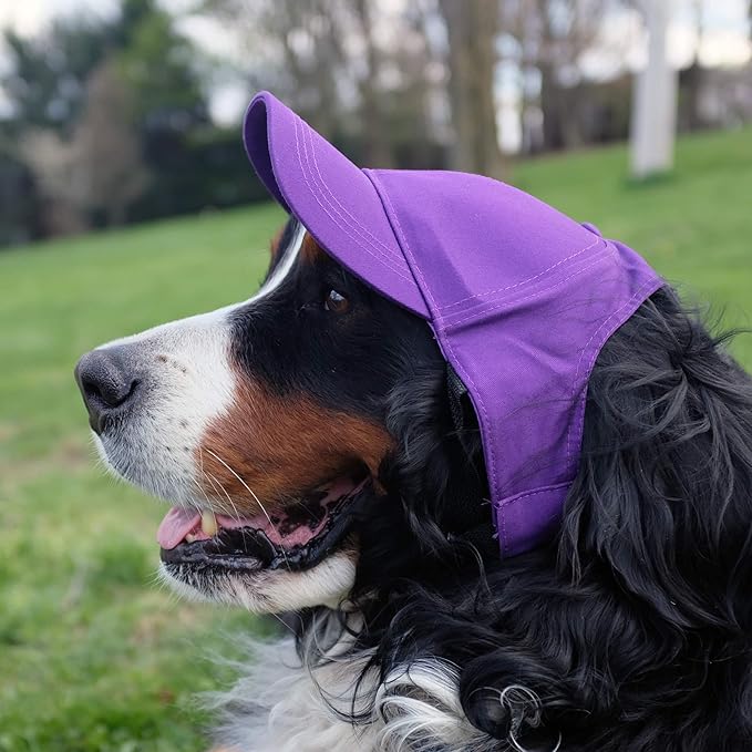 Littlearth NFL Pet Baseball Hat - Officially Licensed Teams, Sizes: XS - XL