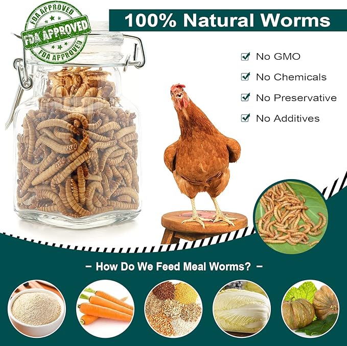 22LB Non-GMO Dried Mealworms, 100% Natural Large Size No Moisture, Mealworms for Chickens, Birds, Hedgehog, Hamster, Fish, Reptile, Turtles