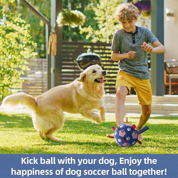 QDAN Dog Toys, Soccer Ball with Straps, Durable Dog Balls for Small Medium, Beach Pool Dog Water Toy (6 Inch)