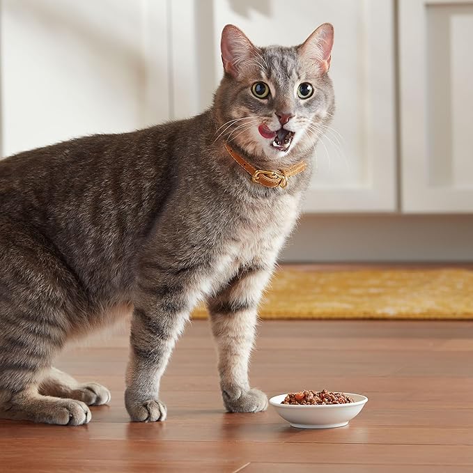 Meow Mix Tenders in Sauce Wet Cat Food, Tuna & Shrimp, 2.75 Ounce Cup (Pack of 48)