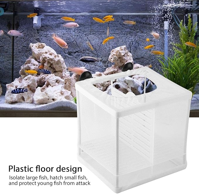 Pssopp Fish Incubator Mesh Box Aquarium Breeding Hatchery Fish Isolation Mesh Young Fish Hatchery Incubator with Isolation Board for Separate Special Fish