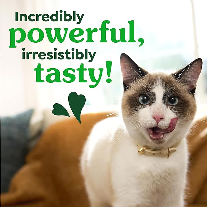 Greenies Cat Treats, Feline Veterinarian-Recommended Adult Natural Dental Cat Treats, Savory Salmon Flavor, 2.1 oz. Pouch