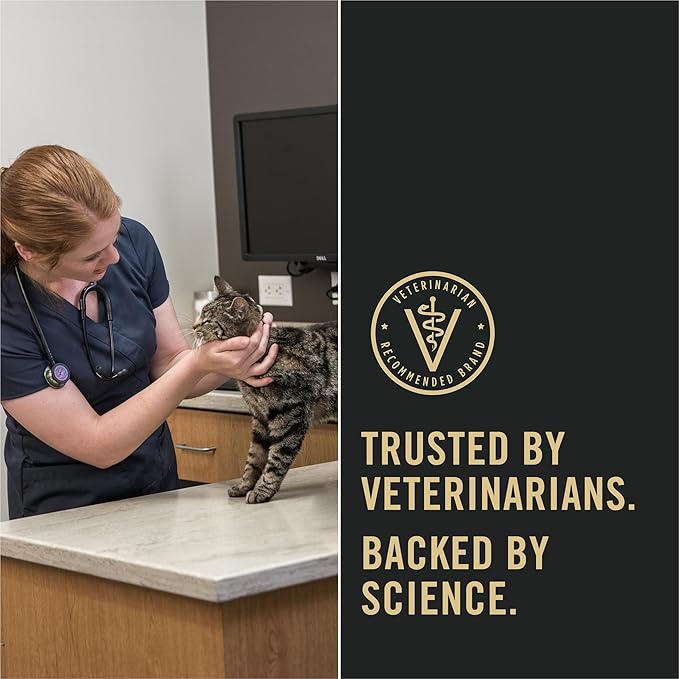 Purina Pro Plan Indoor Cat Food LiveClear Cat Allergen Reducing Turkey and Rice Formula - 5.5 lb. Bag