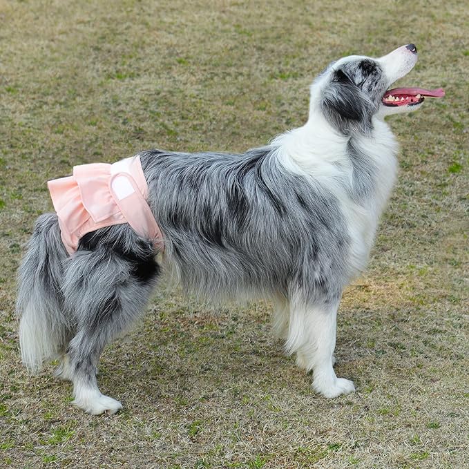 Reusable Dog Diapers Female 3 Pack Washable Highly Absorbent Doggie Diapers, Flexible Doggy Diapers Female, Leak-Proof Puppy Diapers for Dog Period Heat Incontinence Potty Training, M
