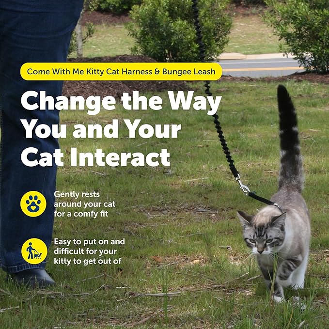 PetSafe Come With Me Kitty Cat Harness & Bungee Leash - Comfortable Cat Harness with Lightweight Bungee Leash for Outdoor Fun - More Secure Walks - Small - Red