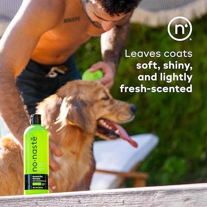 Nonaste Aloe Glow Premium Dog Shampoo (16 Oz, Pack of 2) – Deep-Clean & Odor-Neutralizing Dog Wash with USDA Certified Organic Aloe & Oatmeal | for Sensitive Skin, Soft Shiny Coat, Light Fresh Scent