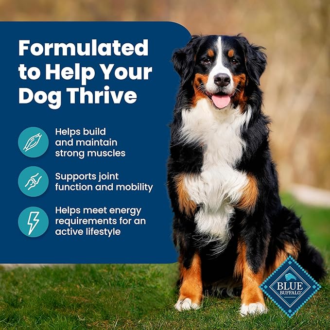 Blue Buffalo Life Protection Formula Adult Dry Dog Food, Helps Build and Maintain Strong Muscles, Made with Natural Ingredients, Fish & Brown Rice Recipe, 15-lb Bag