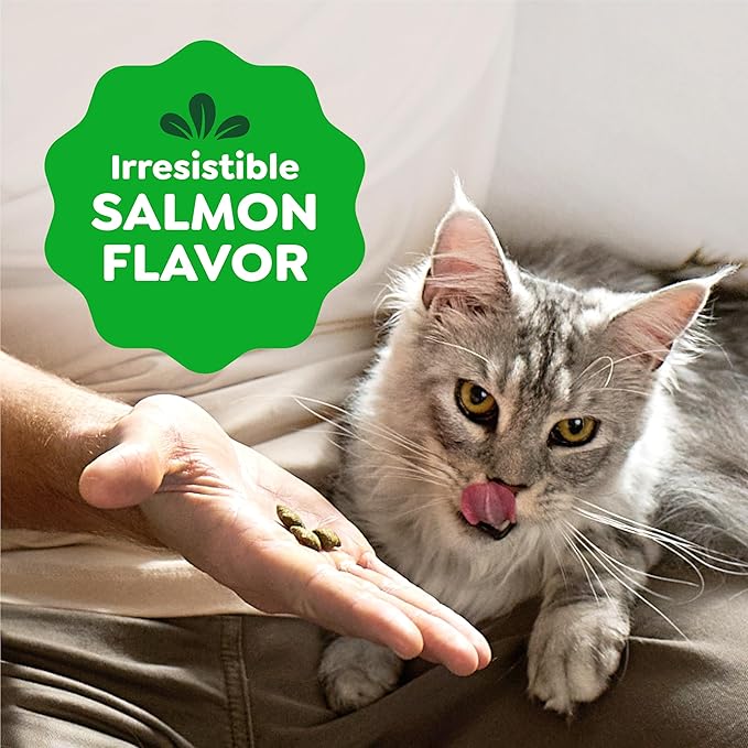 Greenies Cat Treats, Feline Smartbites, Skin & Fur Health, Crunchy and Soft Cat Treats, Salmon Flavor, 16 oz. Tub