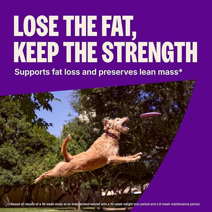 Wellness CORE+ Healthy Weight Adult Dry Dog Food with Freeze Dried Pieces, Grain Free Kibble+, Natural, High Protein, Turkey and Chicken Recipe, 18 lb Bag