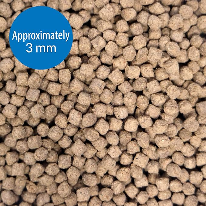 API BOTTOM FEEDER PELLETS WITH SQUID Fish Food 4.0-Ounce Container