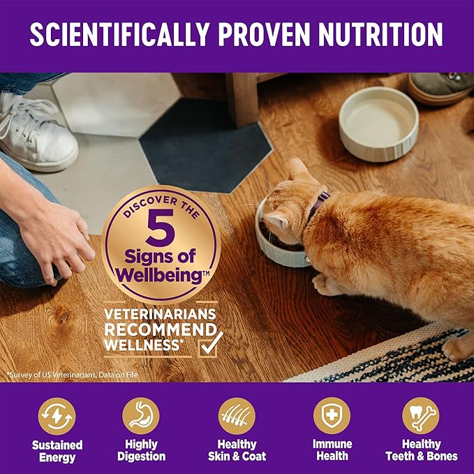 Wellness Complete Health Kitten Dry Cat Food for Indoor and Outdoor Cats, Grain Free, Natural, Chicken & Chicken Meal (5.5 Pound Bag)