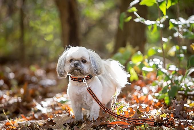 Pets First NFL Licensed Cleveland Browns Pet Leash, Size Large – Durable Satin Dog & Cat Walking Strap and Pet Tether with Embroidered Team Name & Logo
